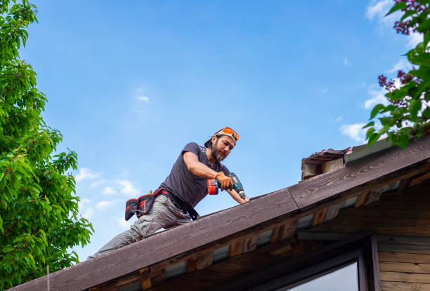 Best Roof Maintenance and Cleaning  in Arlington Heights, PA